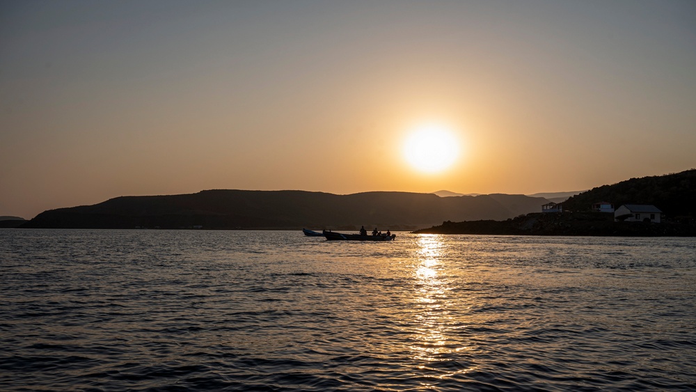 Exercise Bull Shark 26-1