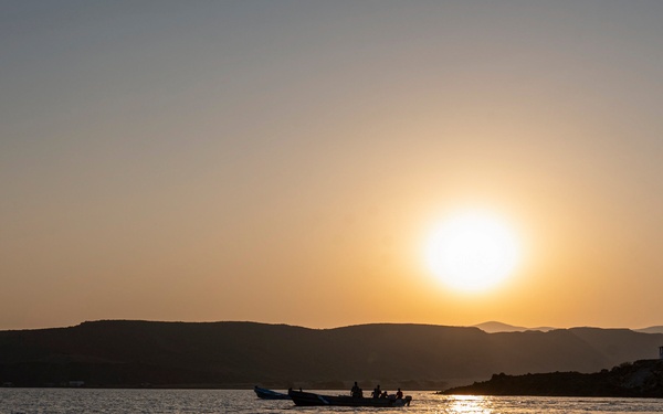 Exercise Bull Shark 26-1