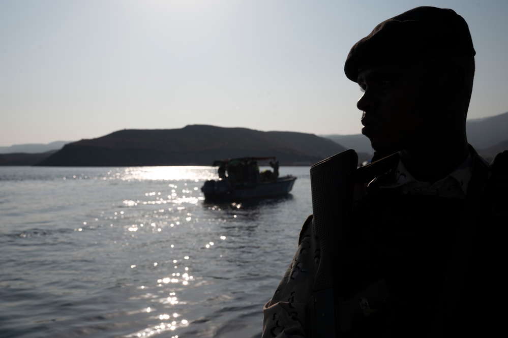 Exercise Bull Shark 26-1