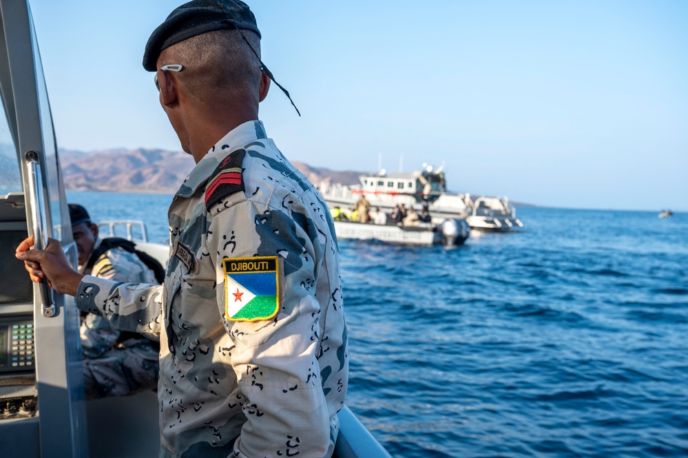 Exercise Bull Shark 26-1