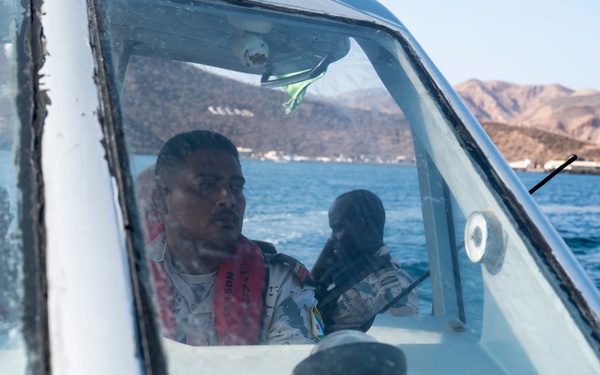 Exercise Bull Shark 26-1