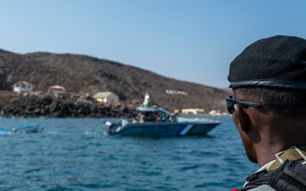 Exercise Bull Shark 26-1