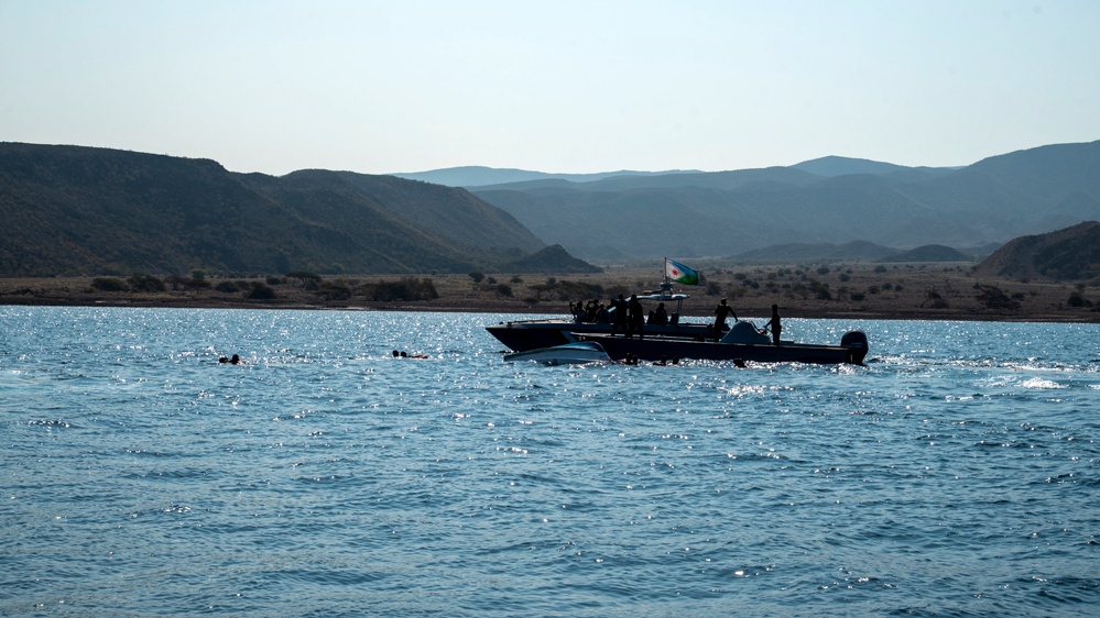 Exercise Bull Shark 26-1