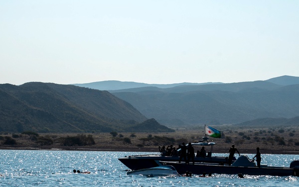 Exercise Bull Shark 26-1