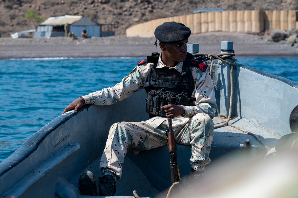 Exercise Bull Shark 26-1