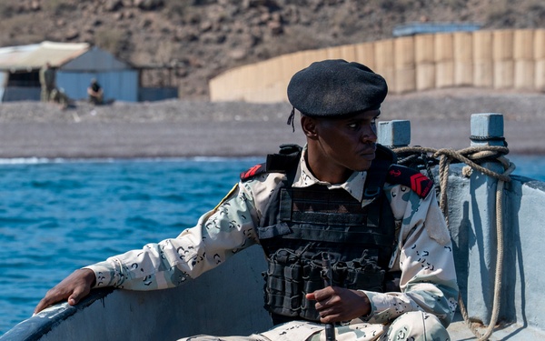 Exercise Bull Shark 26-1