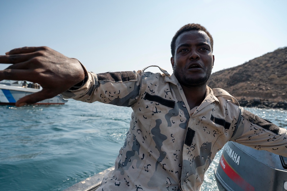 Exercise Bull Shark 26-1