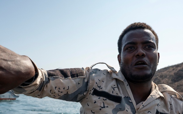 Exercise Bull Shark 26-1