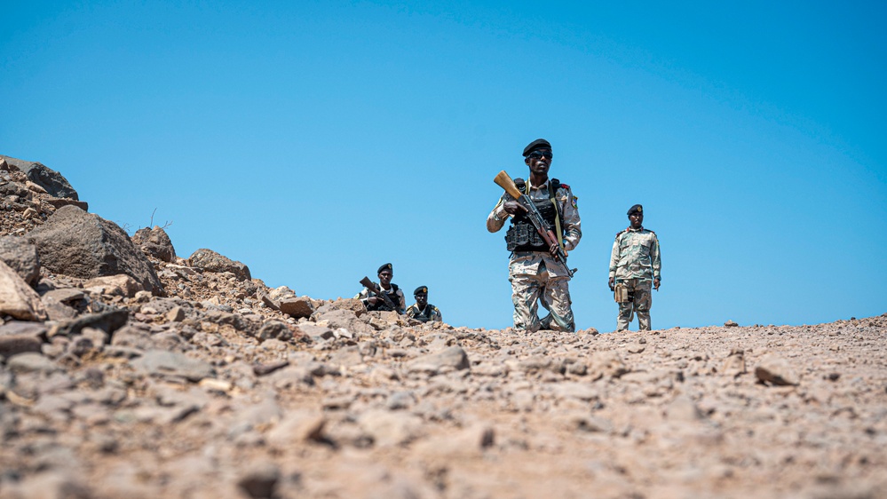 Exercise Bull Shark 26-1