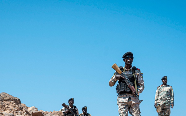 Exercise Bull Shark 26-1