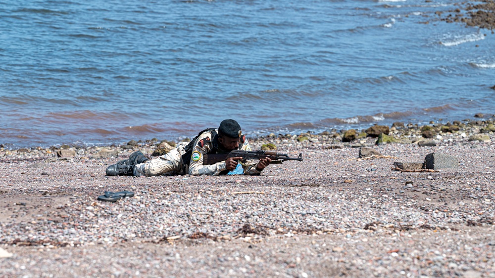 Exercise Bull Shark 26-1