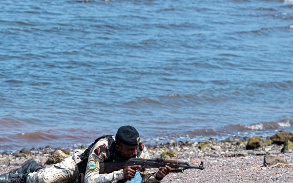 Exercise Bull Shark 26-1