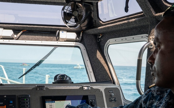 Exercise Bull Shark 26-1