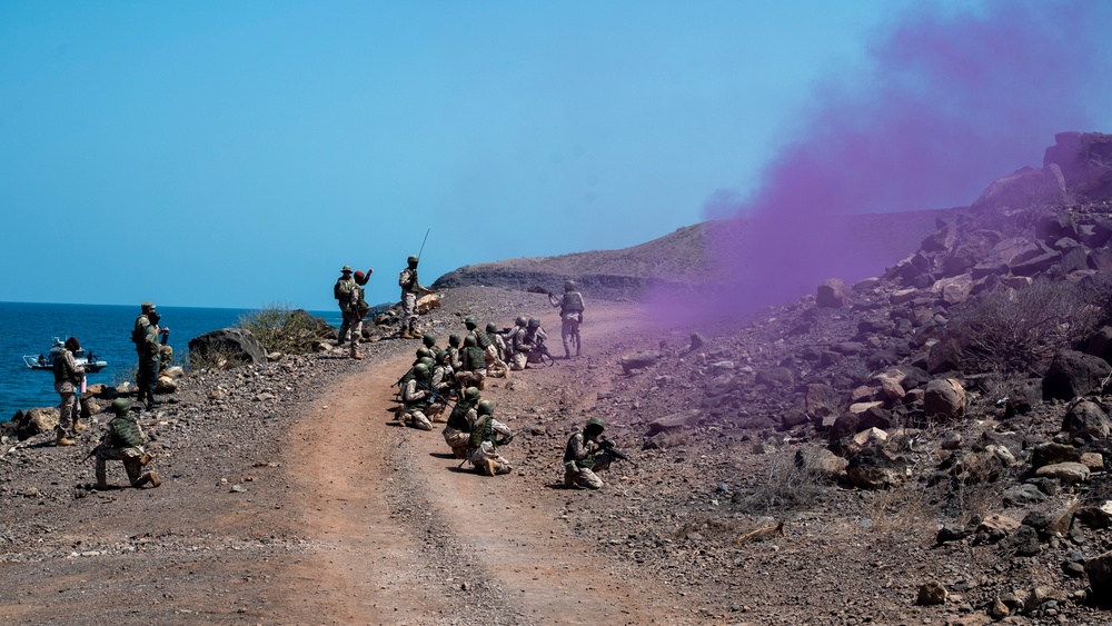 Exercise Bull Shark 26-1