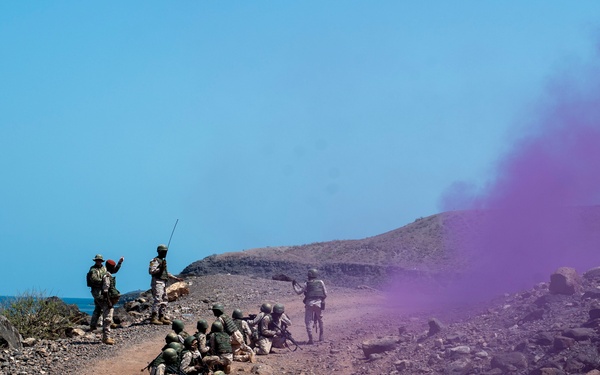 Exercise Bull Shark 26-1