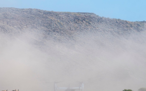 Exercise Bull Shark 26-1