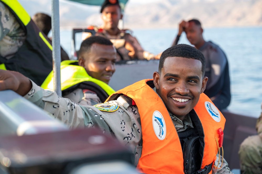 Exercise Bull Shark 26-1