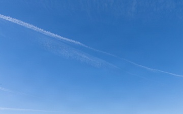 Delta Company Table One Qualification