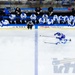 USAFA Hockey vs Holy Cross 2025