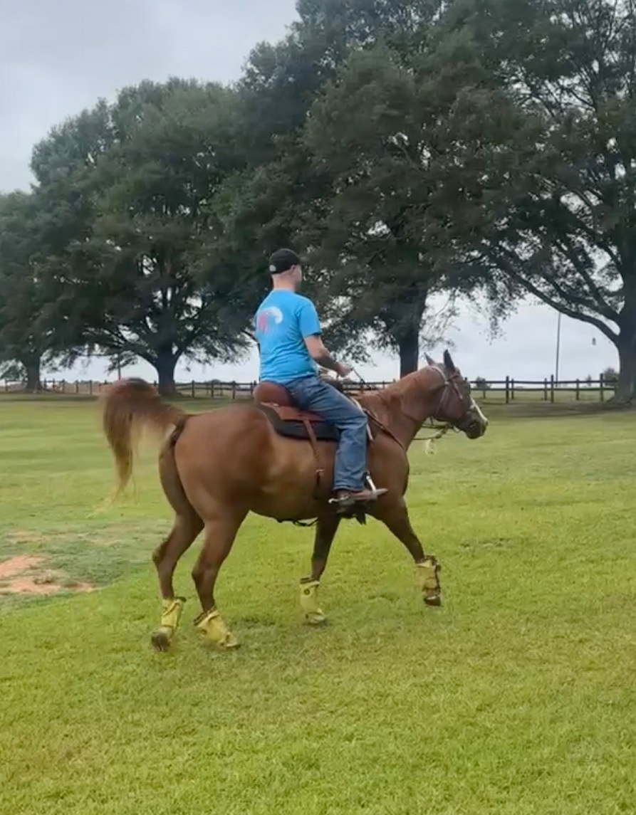 FC1 Chandler Price Sailor in the Spotlight