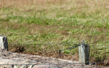 WRAIR Soldiers compete for Soldier and NCO of the Year
