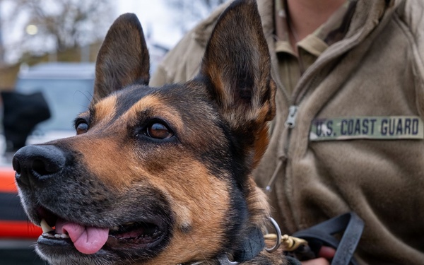 Coast Guard K-9 Ultra Named 2025 American Humane Hero Dog Award Winner