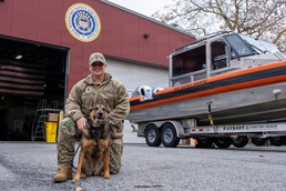 Coast Guard K-9 Ultra Named 2025 American Humane Hero Dog Award Winner