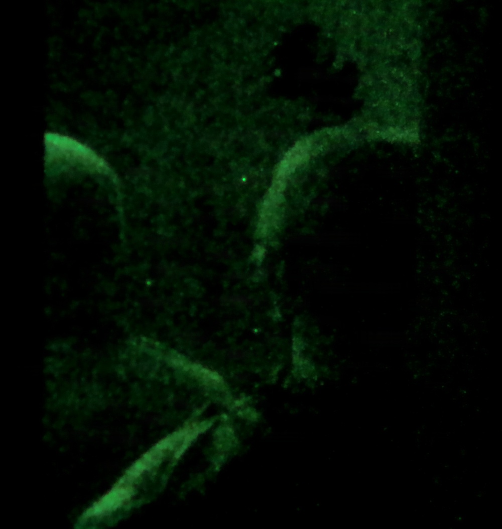 The Old Guard Special Operations Training