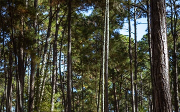 Delta Company Land Navigation