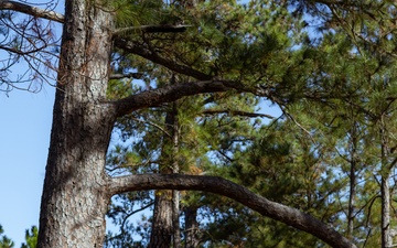 Delta Company Land Navigation