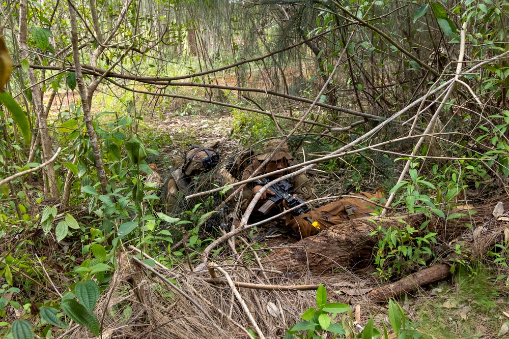 Soldiers Assess Casualties Under Fire