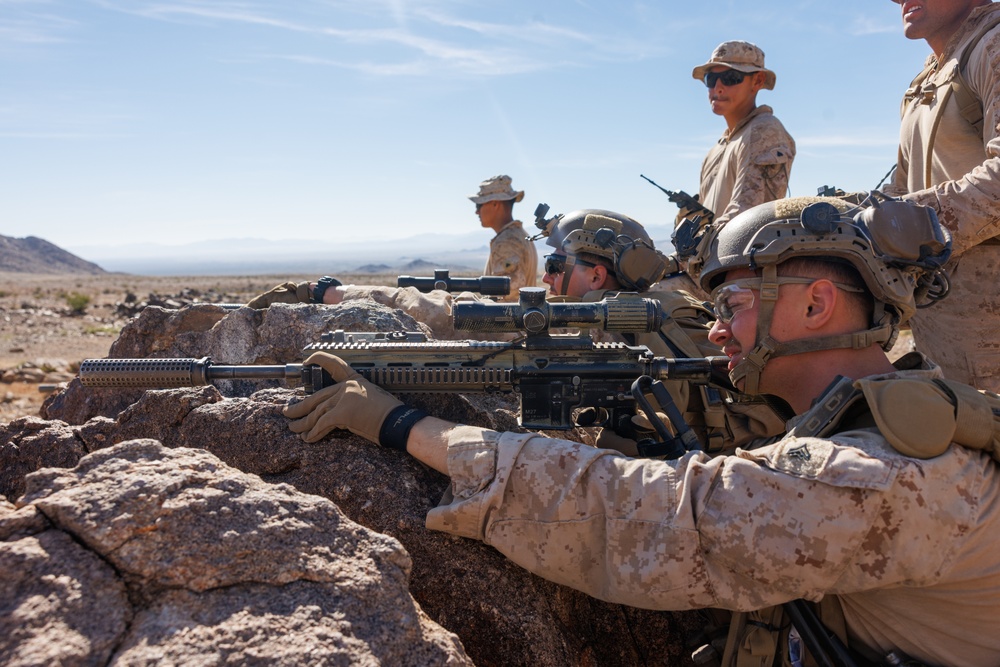Marines with 3rd Bn., 7th Marines, 1st CEB patrol during Range 400