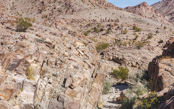 Marines with 3rd Bn., 7th Marines, 1st CEB patrol during Range 400