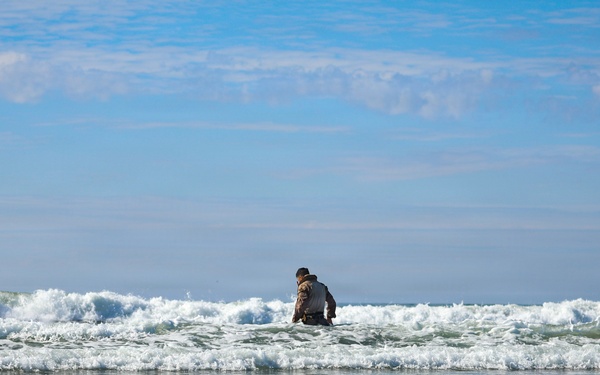 2nd Bn., 4th Marines, 3rd AA Bn conduct surf qualification