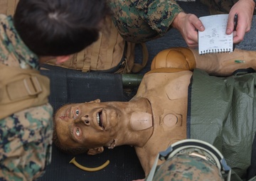 MSV(L) MARINE CASEVAC TRAINING