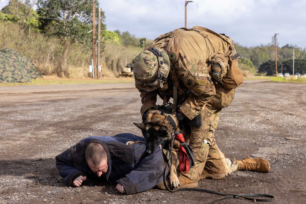 58th Military Police Company Controlled Aggression Training