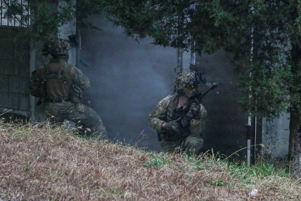 NZDF and 2-2 AHB Air Assault Training