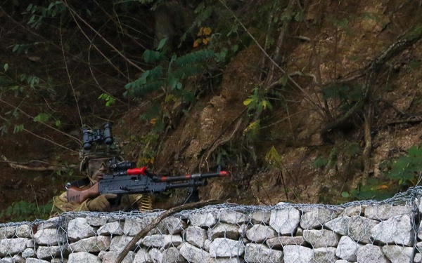 NZDF and 2-2 AHB Air Assault Training