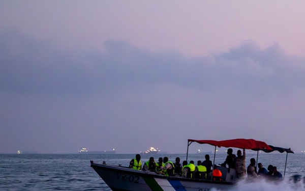 Exercise Bull Shark 26-1