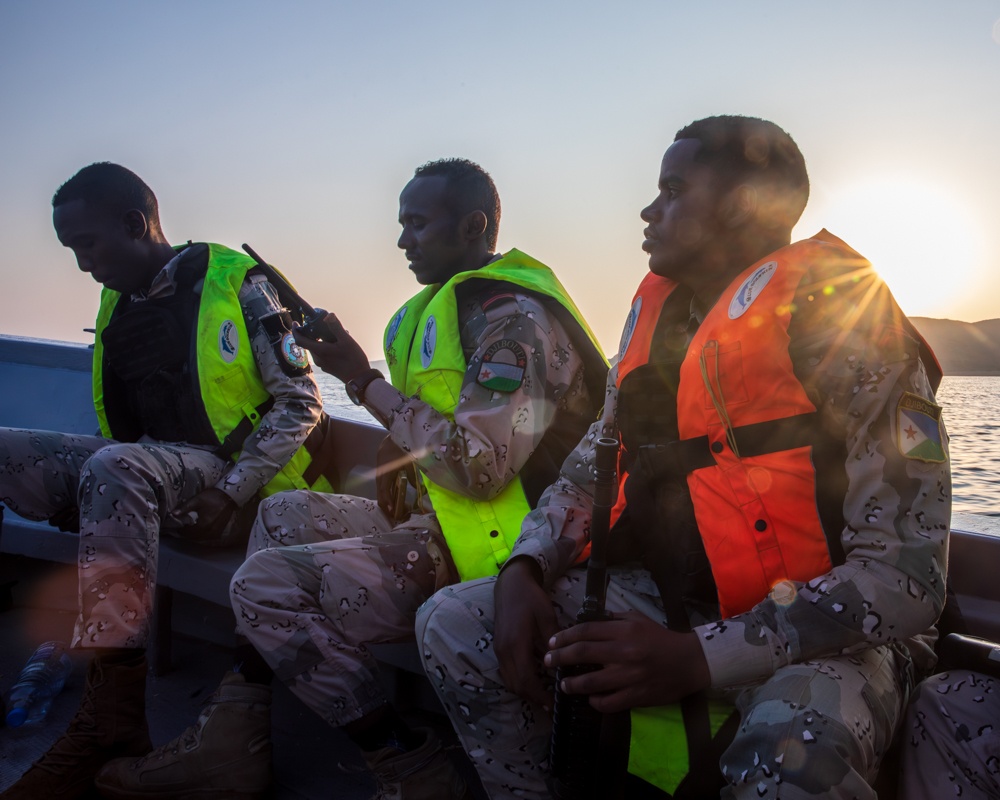 Exercise Bull Shark 26-1