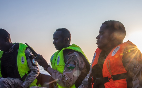 Exercise Bull Shark 26-1