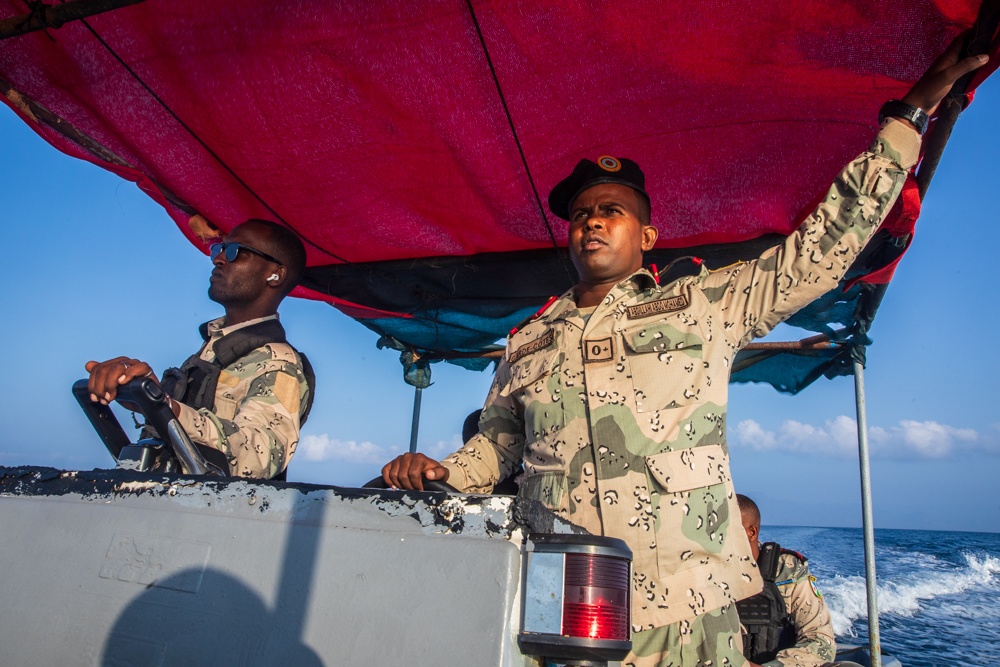 Exercise Bull Shark 26-1