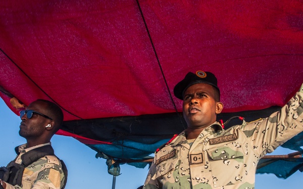 Exercise Bull Shark 26-1