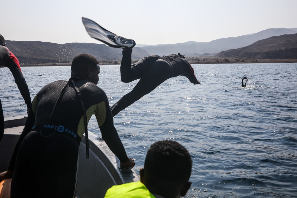 Exercise Bull Shark 26-1