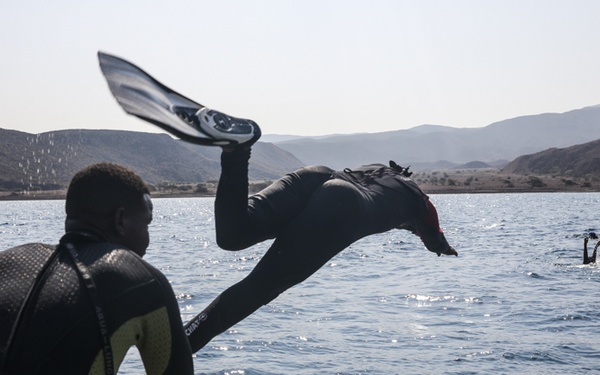 Exercise Bull Shark 26-1