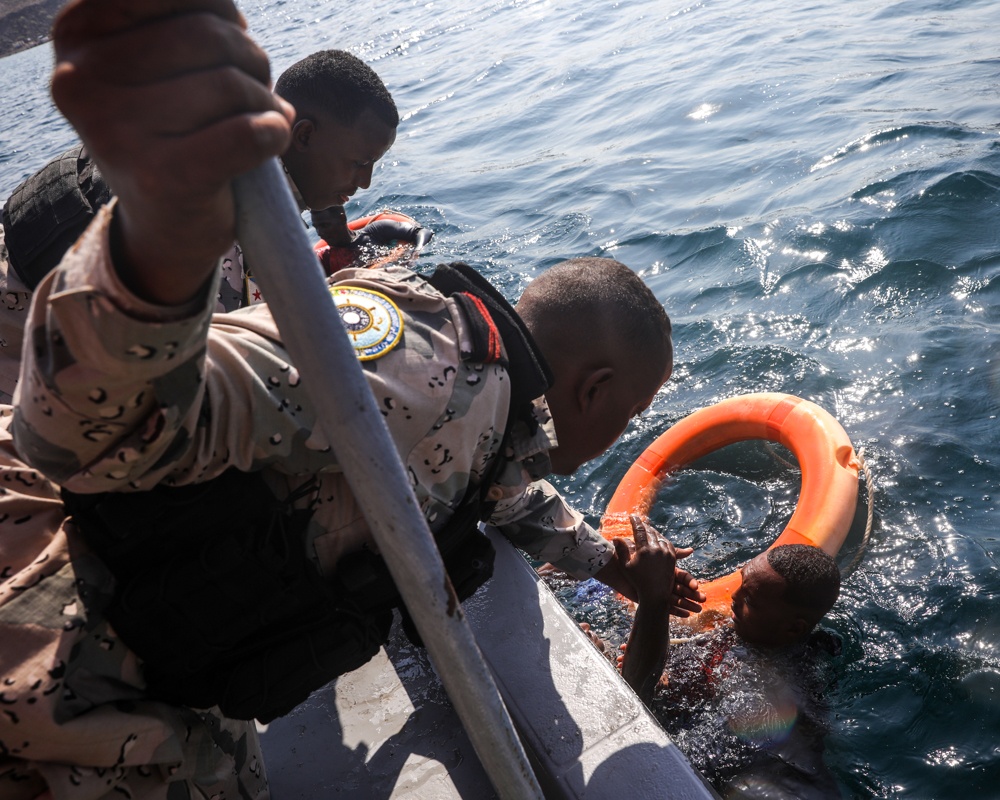 Exercise Bull Shark 26-1