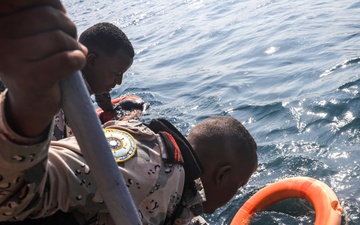 Exercise Bull Shark 26-1