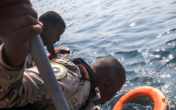 Exercise Bull Shark 26-1