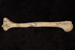 Leader's Recon - Combat Field Studies - The Battle of Fredericksburg