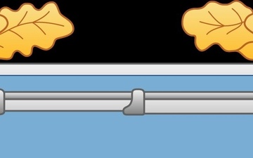 Master Combat Infantryman Badge